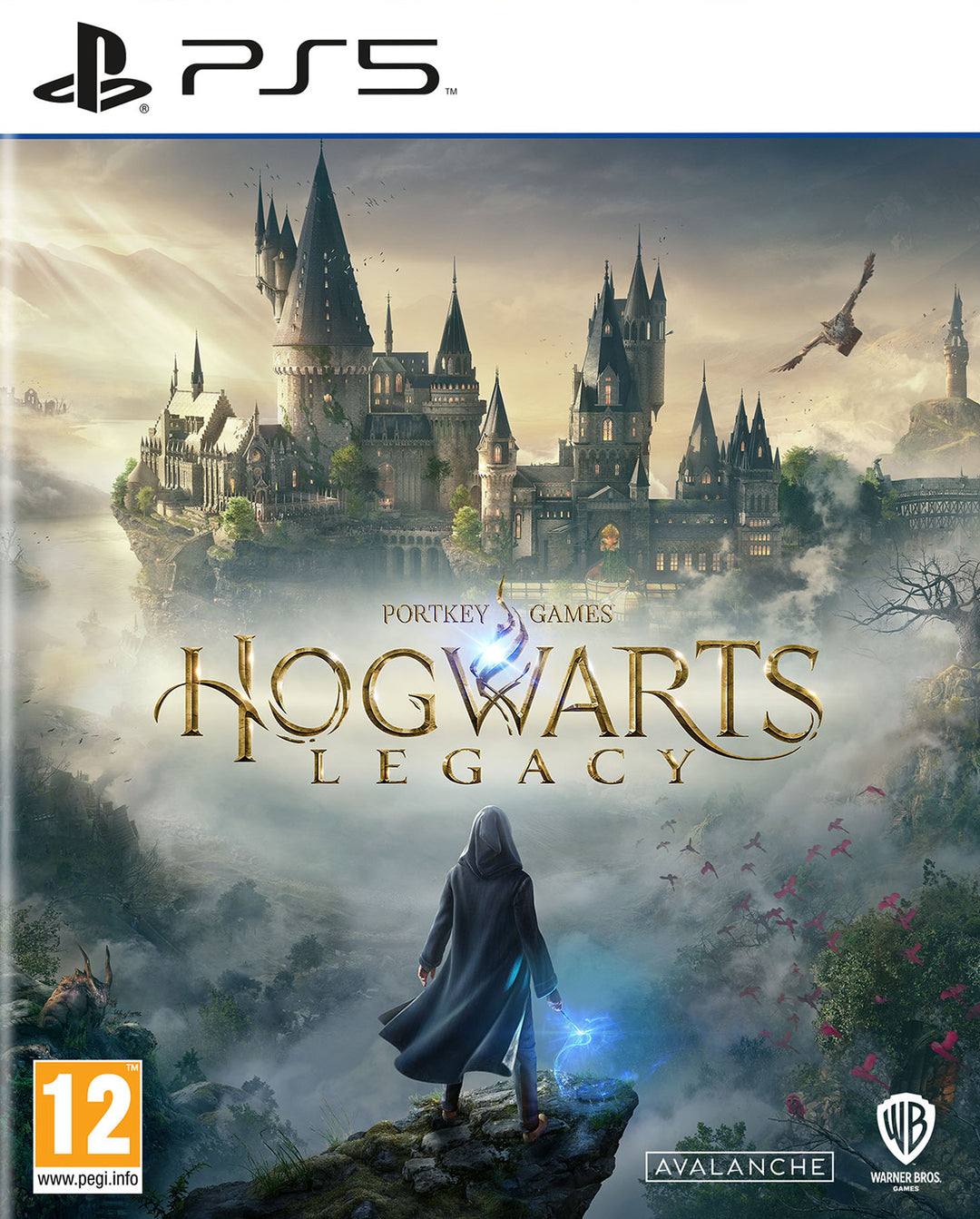 Playstation 5 Hogwarts Legacy