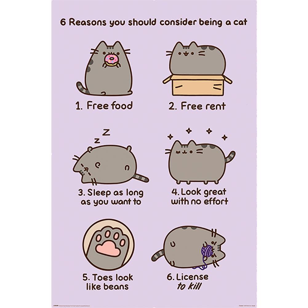 Pusheen Poster Reasons