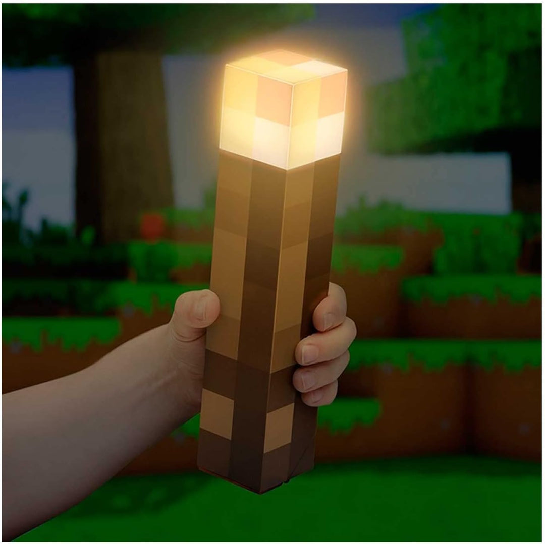 Minecraft Torch Light