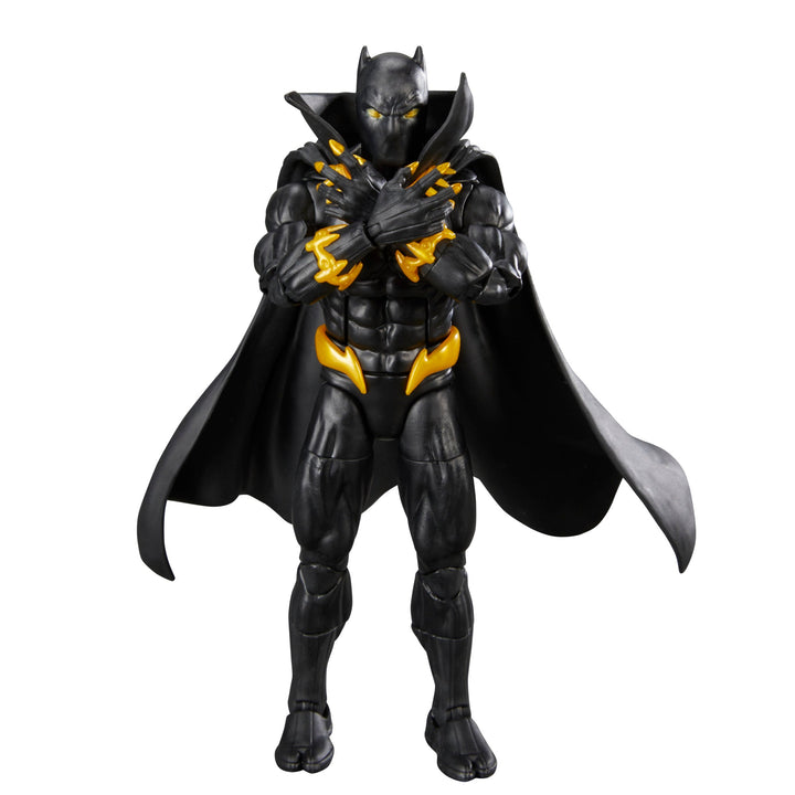 Marvel Legends The Void Series Black Panther 6" Action Figure