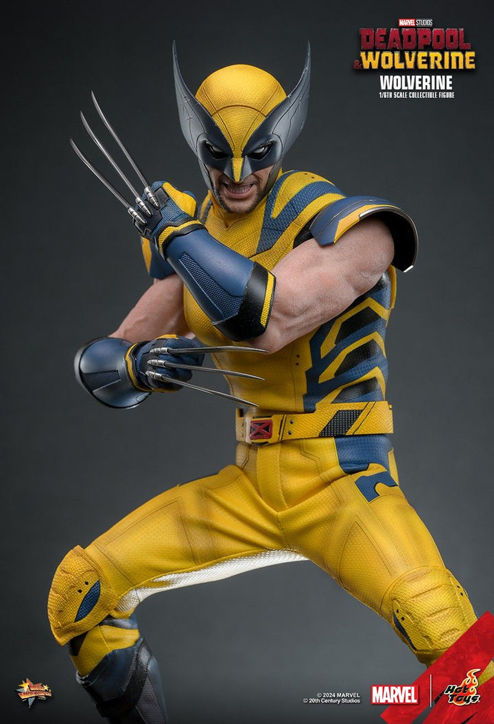 Hot Toys Deadpool & Wolverine Wolverine 1/6th Scale Figure