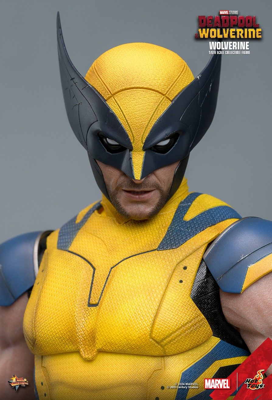 Hot Toys Deadpool & Wolverine Wolverine 1/6th Scale Figure