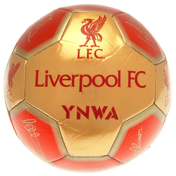 Official Liverpool Signature 26 Panel Football