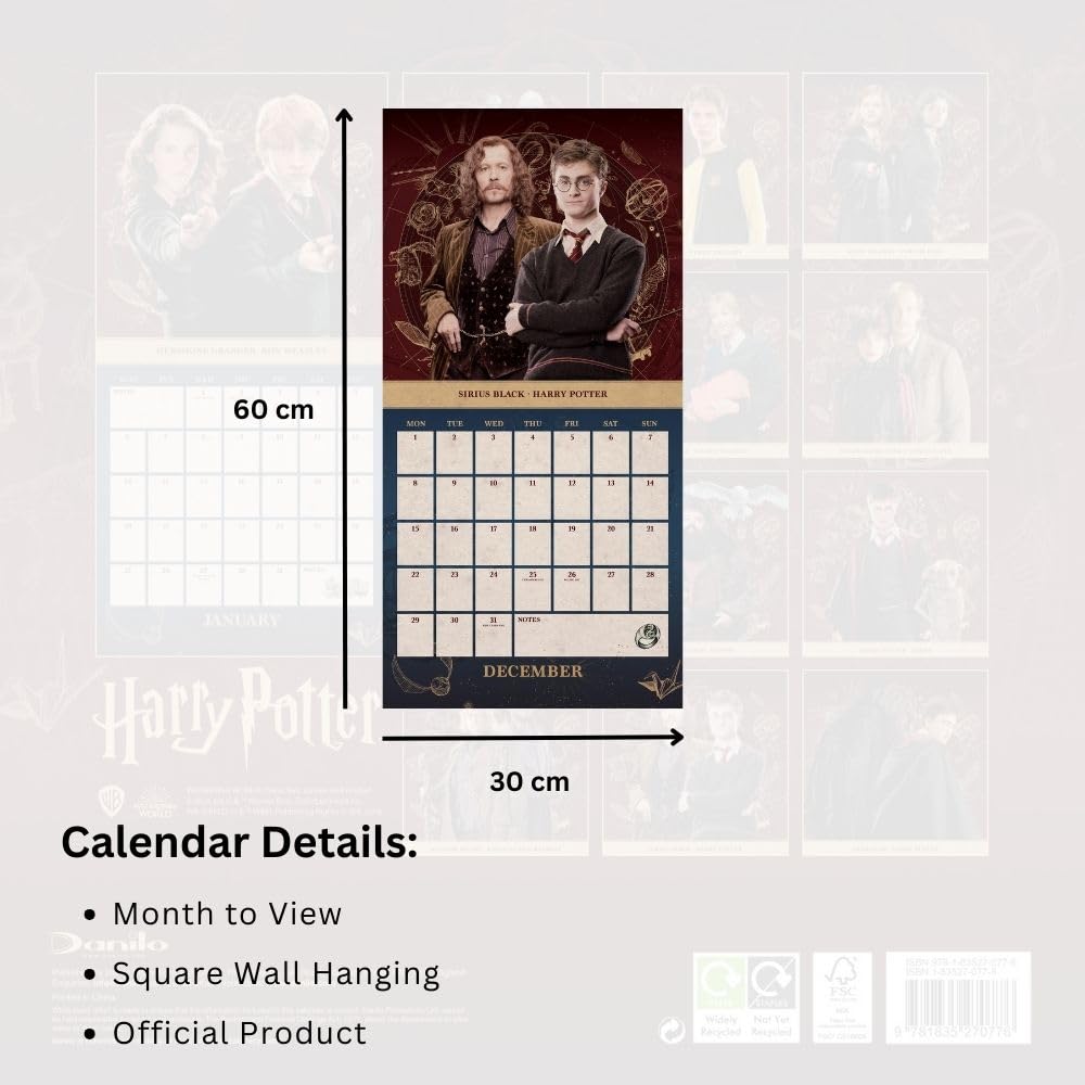 Harry Potter Square 2025 Calendar