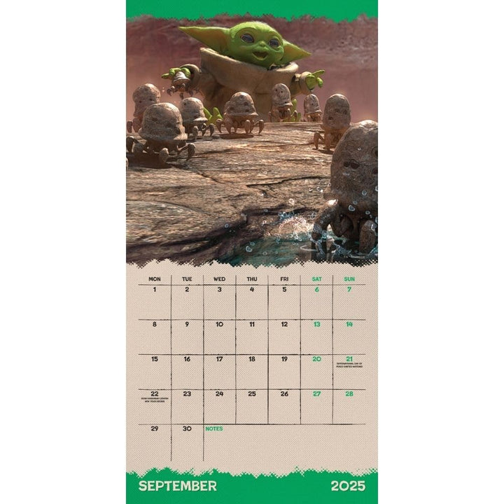 Star Wars: The Mandalorian Grogu Square 2025 Calendar