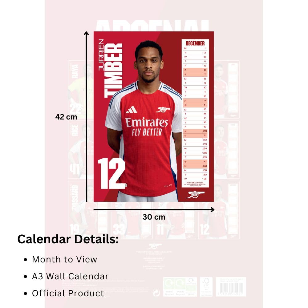 Arsenal FC A3 2025 Calendar