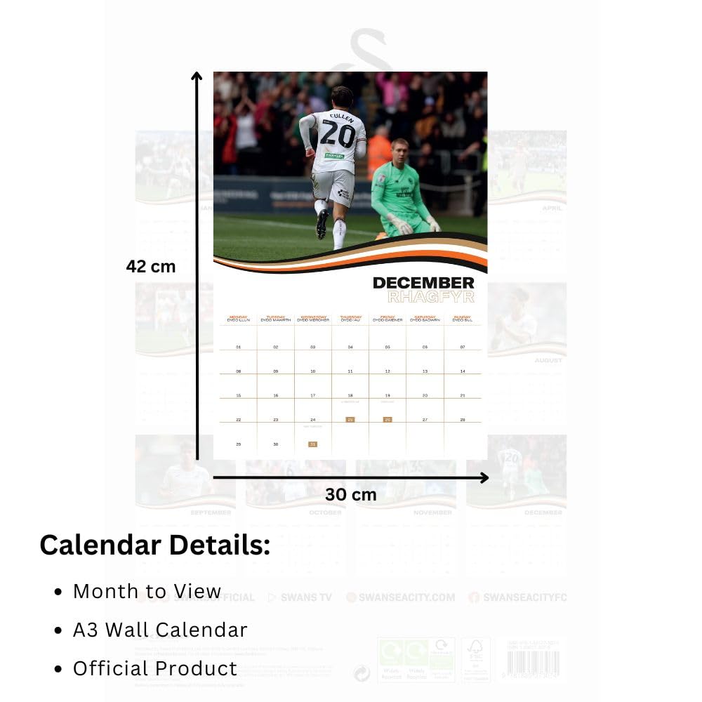 Swansea City AFC A3 2025 Calendar