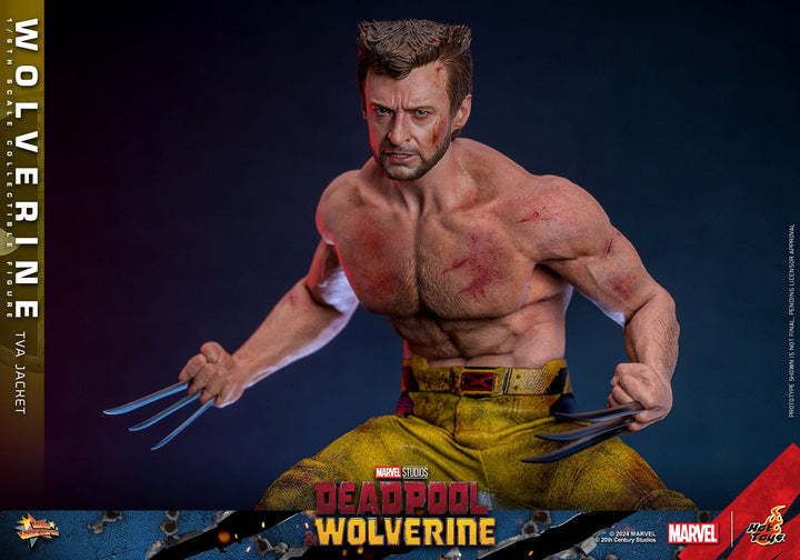 Hot Toys Deadpool & Wolverine Wolverine (TVA Jacket Version) 1/6th Scale Figure