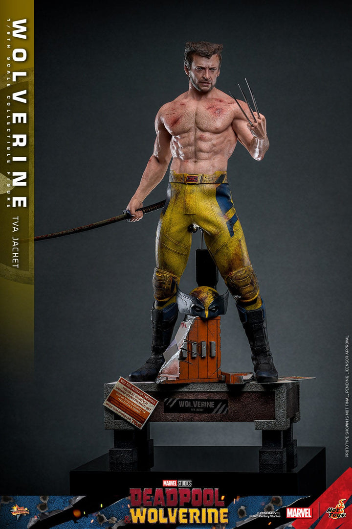 Hot Toys Deadpool & Wolverine Wolverine (TVA Jacket Version) 1/6th Scale Figure