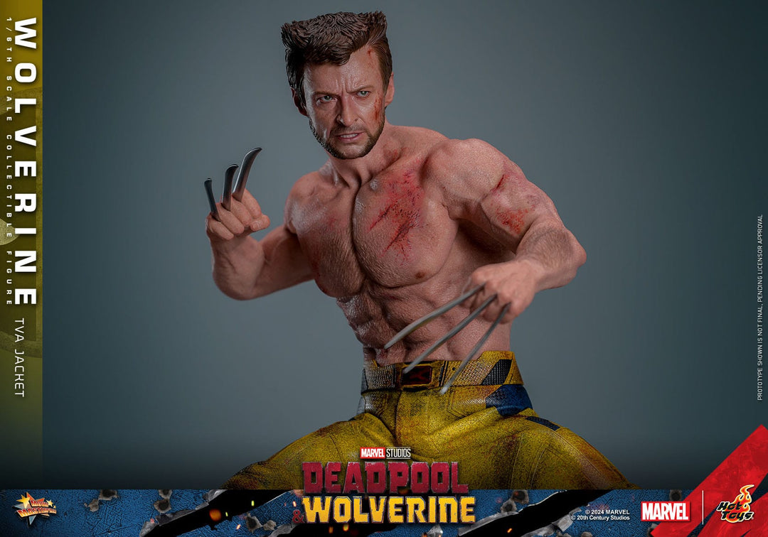 Hot Toys Deadpool & Wolverine Wolverine (TVA Jacket Version) 1/6th Scale Figure