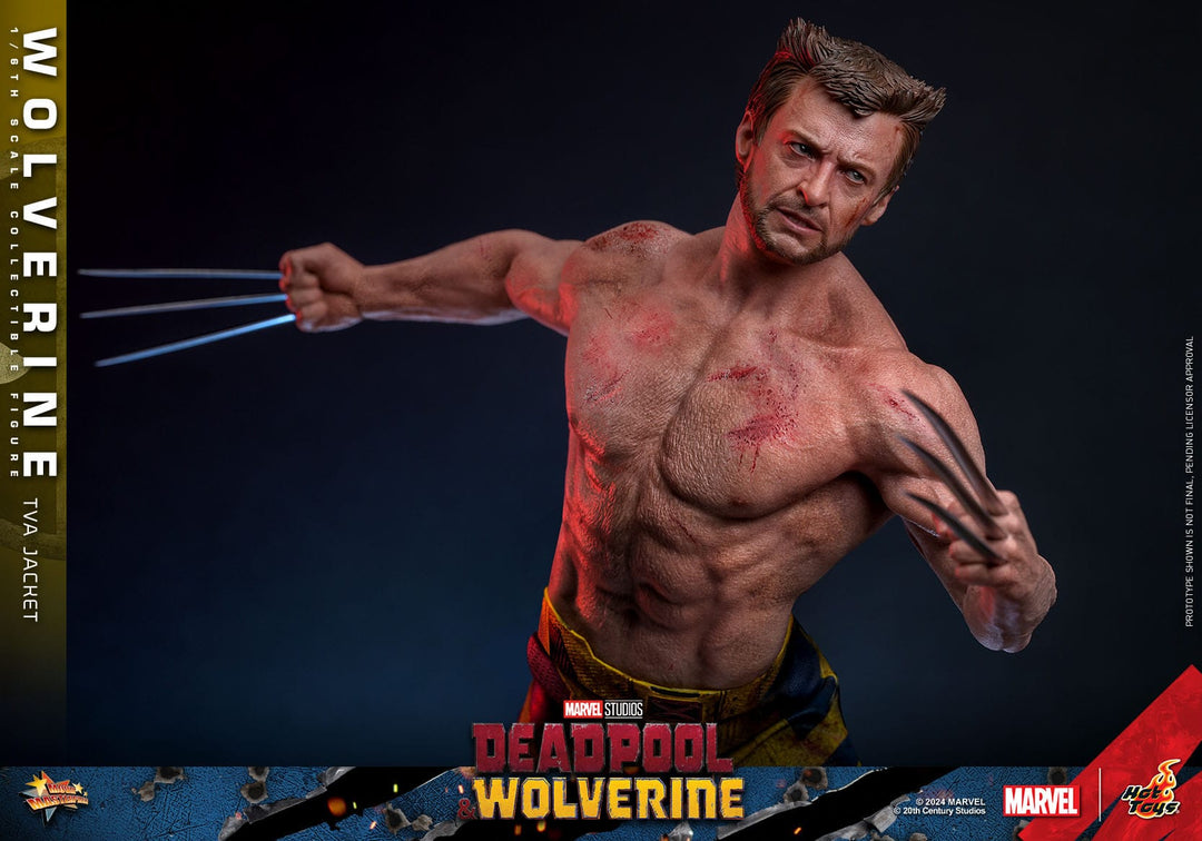 Hot Toys Deadpool & Wolverine Wolverine (TVA Jacket Version) 1/6th Scale Figure