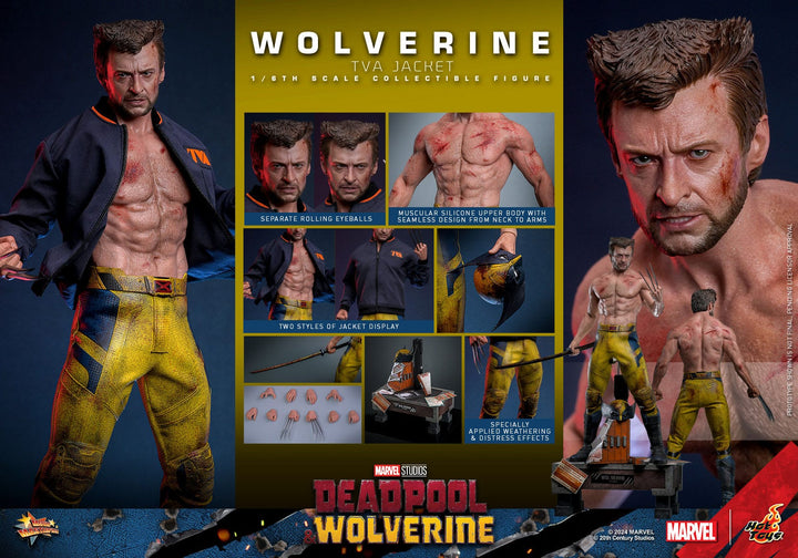 Hot Toys Deadpool & Wolverine Wolverine (TVA Jacket Version) 1/6th Scale Figure