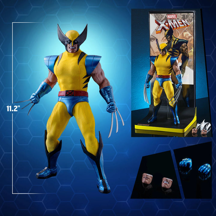 Hot Toys Hono Studio Marvel X-Men Wolverine 1/6th Scale Action Figure