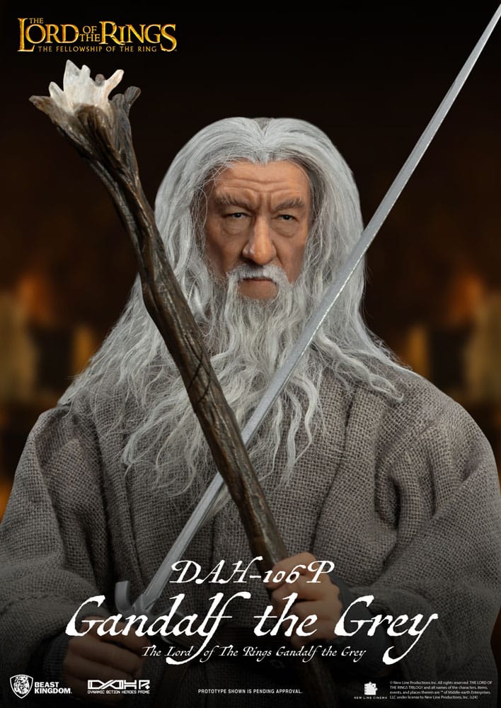 The Lord of the Rings Dynamic 8ction Heroes Gandalf the Grey Limited Edition Action Figure