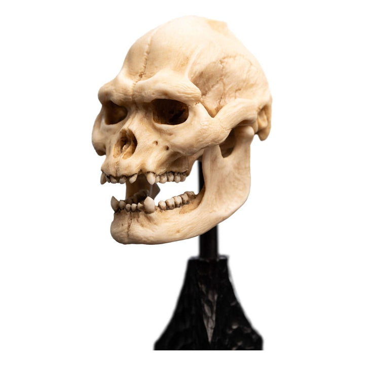 Weta Workshop The Lord of the Rings Skull of Lurtz Miniature Skull Replica