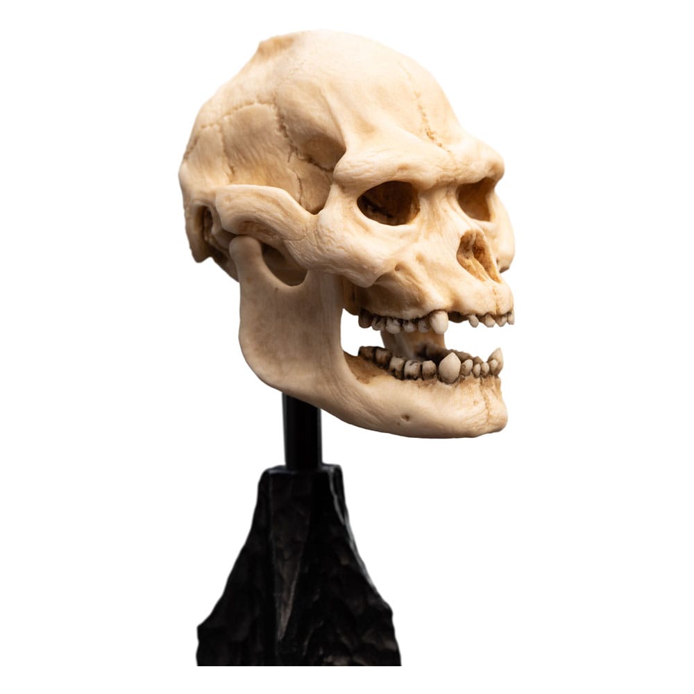 Weta Workshop The Lord of the Rings Skull of Lurtz Miniature Skull Replica