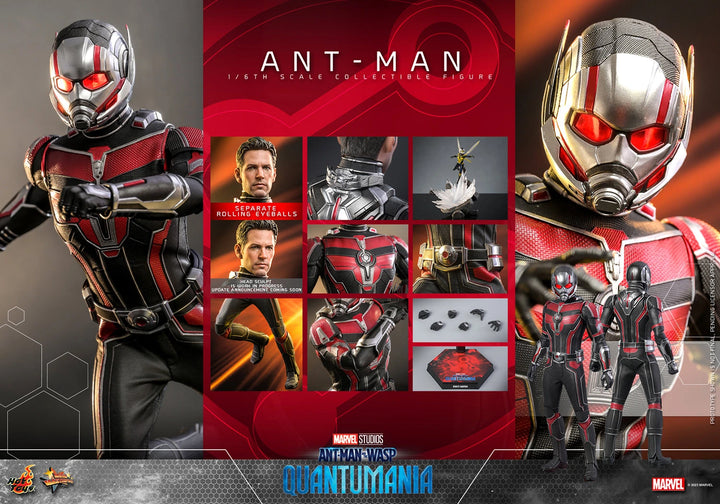 Hot Toys 1/6th Scale Figure Marvel Ant-Man and the Wasp Quantumania Ant-Man